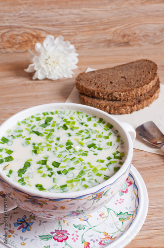 Russian national dish - Okroshka with green onions