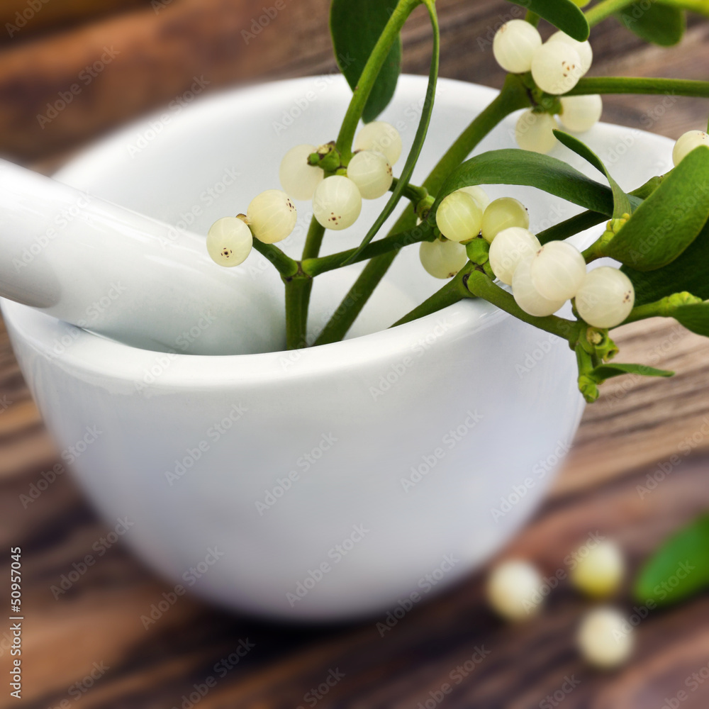 Mistel StockFoto Adobe Stock