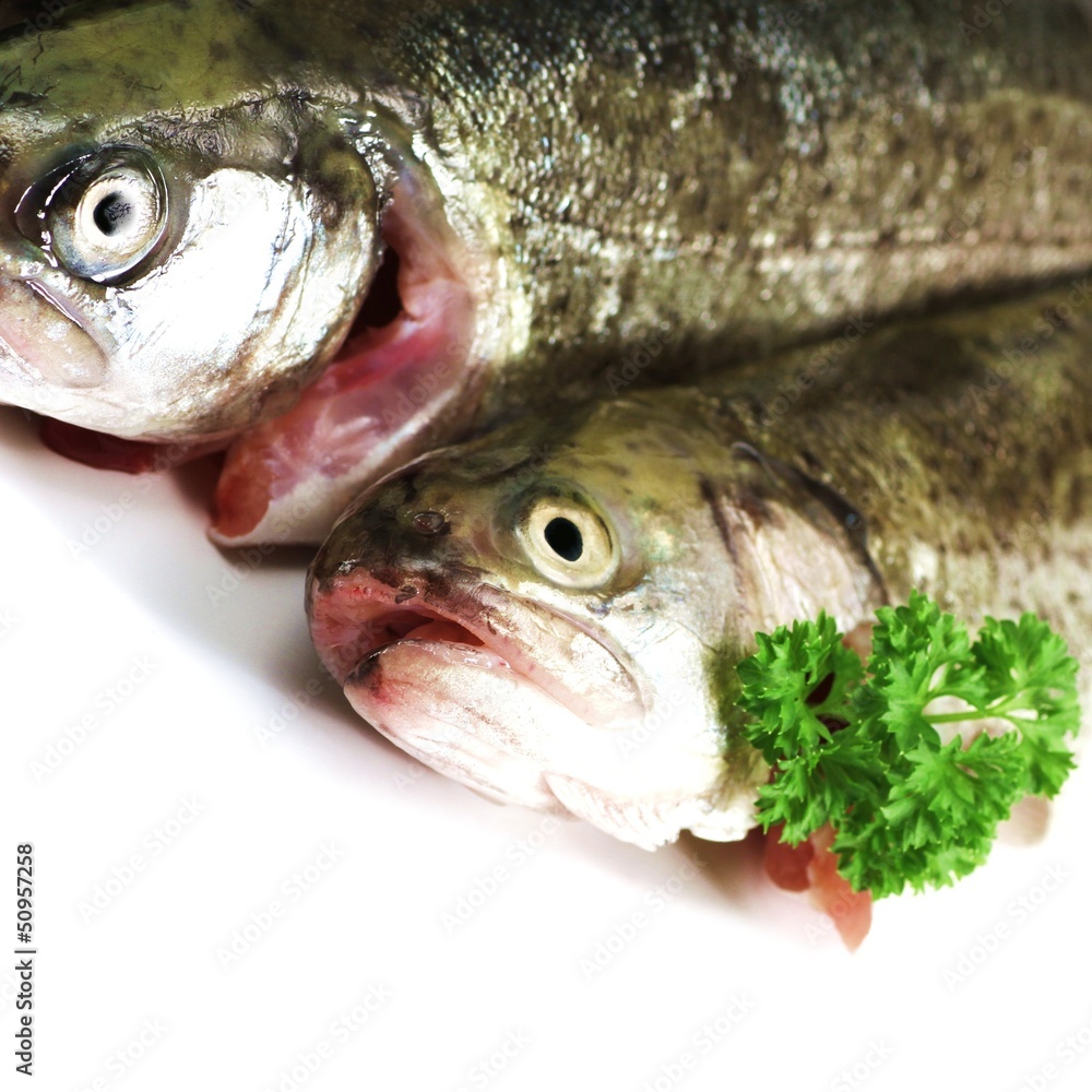 zwei Forellen - Vorbereitung