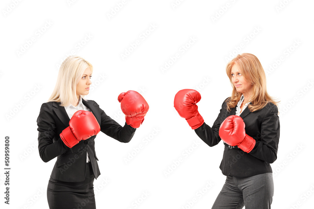Businesswomen with boxing gloves having a fight Businesswomen with boxing gloves having a fight