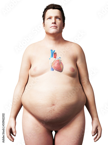 3d rendered illustration of an overweight man - heart