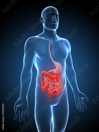 3d rendered illustration of a man having bellyache