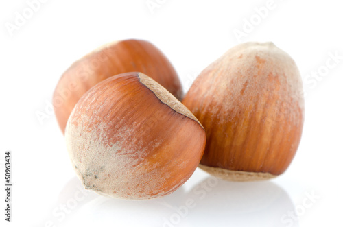 Three hazelnuts