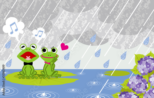 Frog couple in rainy Pond