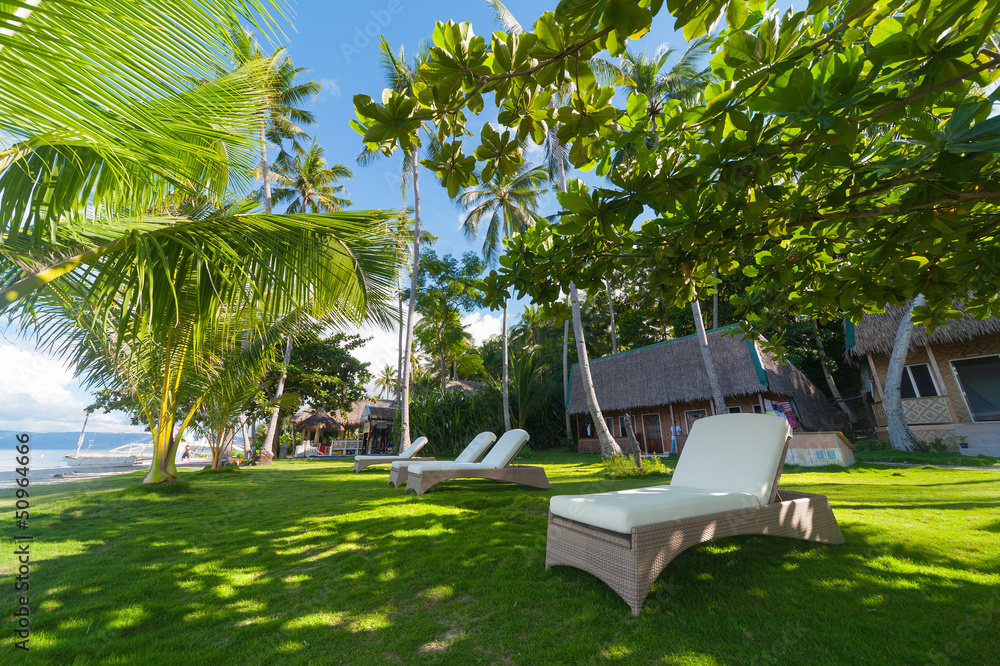 Tropical Island Tropical Island