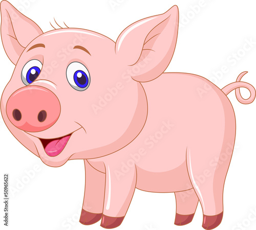 Cute baby pig cartoon