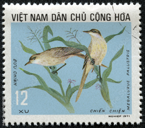 stamp shows image of a bird Megalurus palustris photo