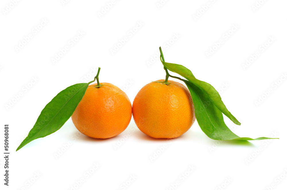 Tangerine isolated Tangerine isolated