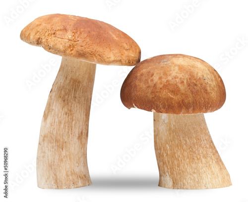 two cep