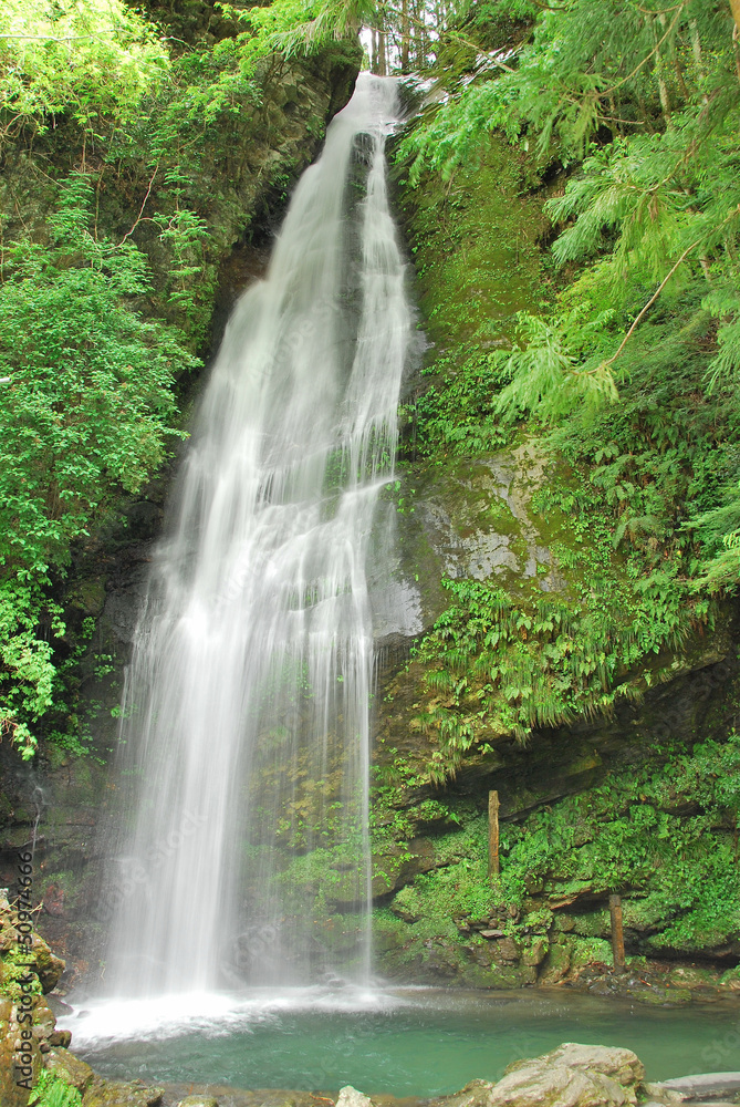 Fototapeta premium Cascade Biwa no taki à Nishi–Iya, Shikoku