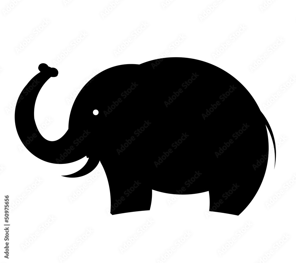 Obraz premium elephant