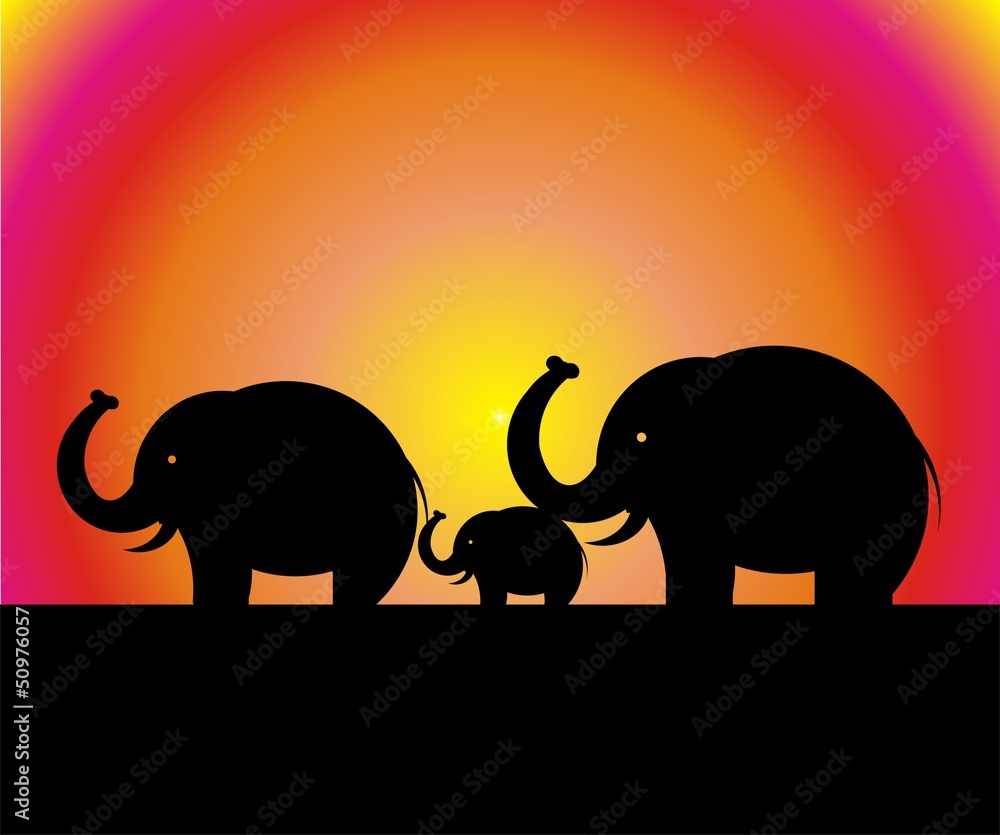 Obraz premium wandering elephants