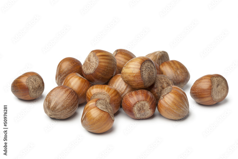 Fresh Hazelnuts