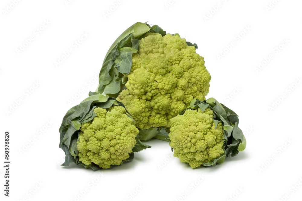 Large and mini Romanesco cabbages Large and mini Romanesco cabbages
