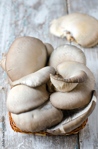 Mushrooms oyster mushrooms