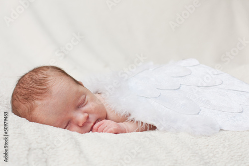 newborn sleeping on the wings of angels