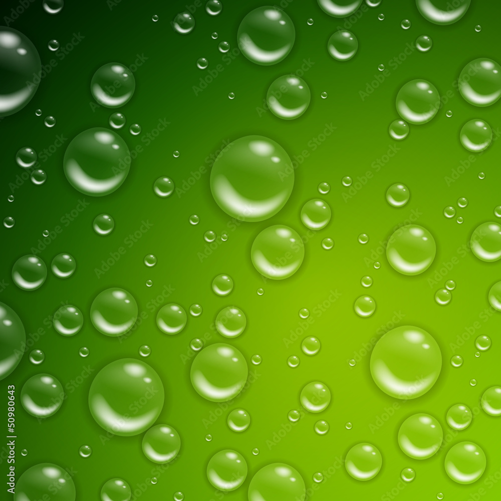 Vector Illustration of Water Drops on a Green Background