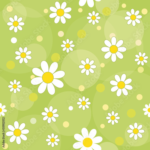 Fototapeta Naklejka Na Ścianę i Meble -  daisies