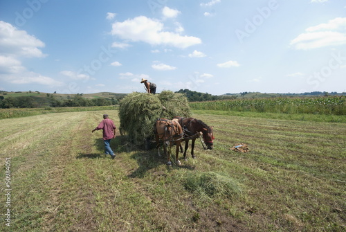 farmers at work in Transylvania, Romania