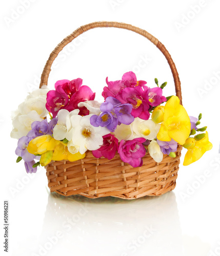 Beautiful bouquet of freesias in basket  isolated on white