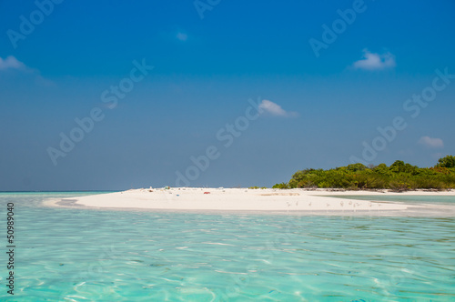 Beach tropical with white sand  © absattar