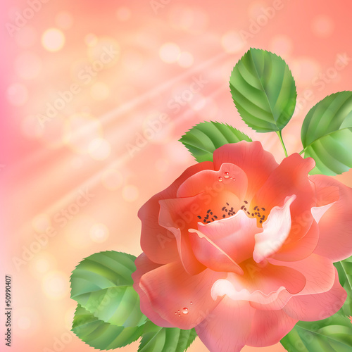 Floral background with rose, sun and blur