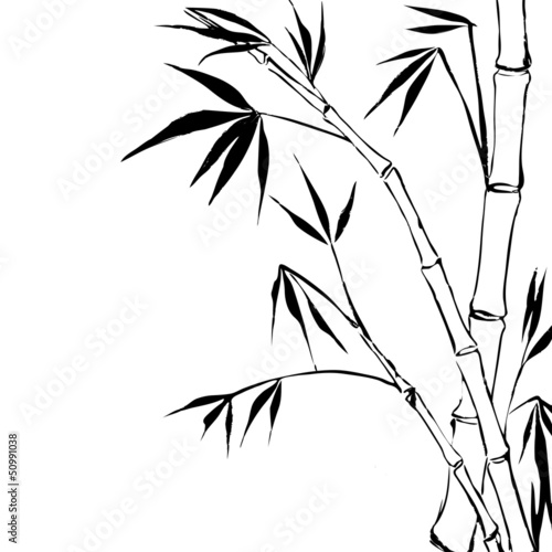 Bamboo