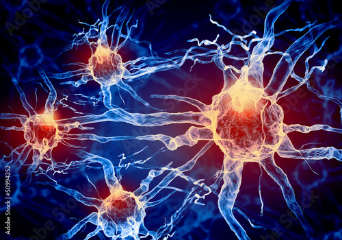 Illustration of a nerve cell