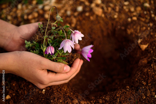 Canvastavla flower planting soil