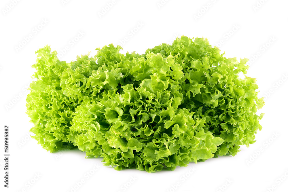 Lettuce salad isolated on a white background Lettuce salad isolated on a white background