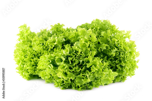 Lettuce salad isolated on a white background