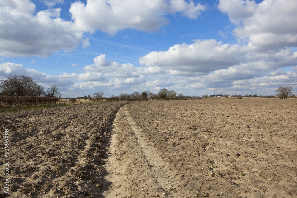 plowed bare soil plowed bare soil