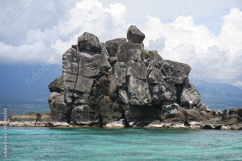 apo island rock negros philippines