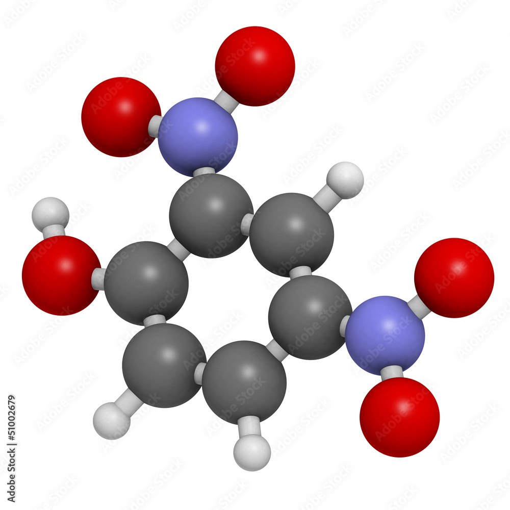 2,4-Dinitrophenol (DNP), molecular model 2,4-Dinitrophenol (DNP), molecular model