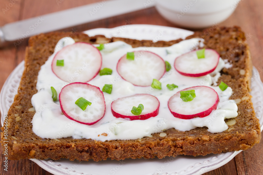 bread with radish on the plate bread with radish on the plate