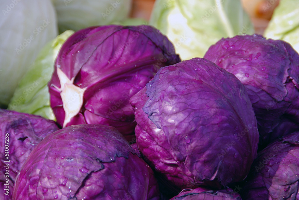Obraz premium Red cabbage