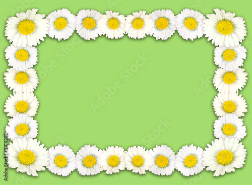 Spring daisy border, frame, background