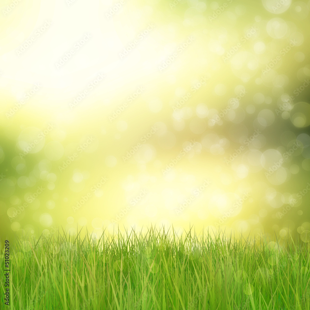 Green grass on abstract background