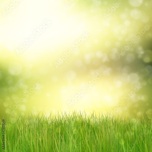 Green grass on abstract background