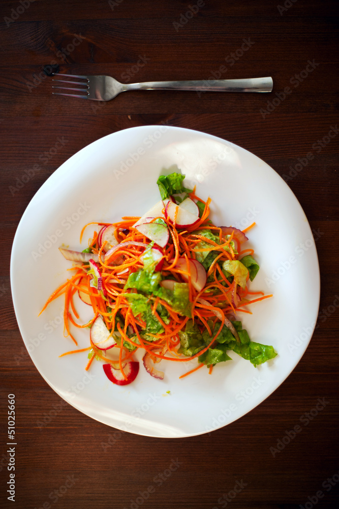 Organic salad with carrot, onion, radish and lettuce salad Organic salad with carrot, onion, radish and lettuce salad