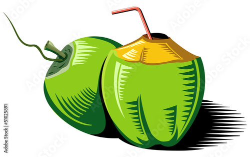 coconut vector
