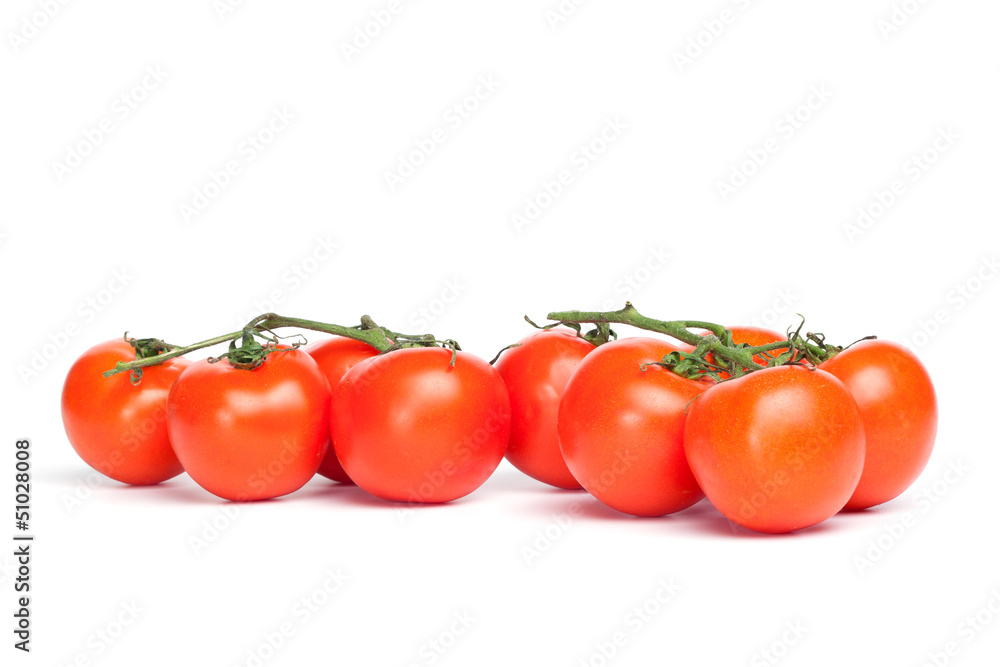 Isolated Vine Tomatoes