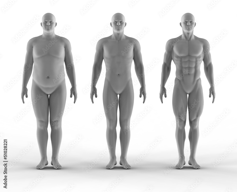 Set of portrait bodybuilder