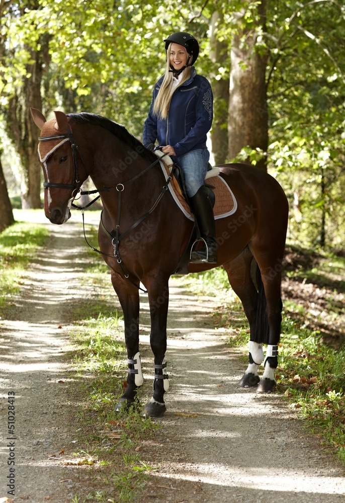 Horse and rider in the woods Horse and rider in the woods