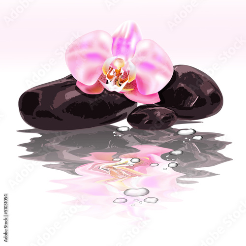 Spa concept zen stones and orchid