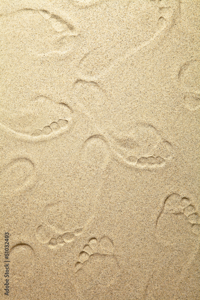 Sand Background Sand Background