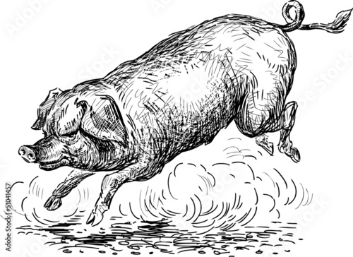 jumping pig