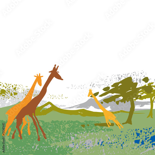 giraffe, countryside