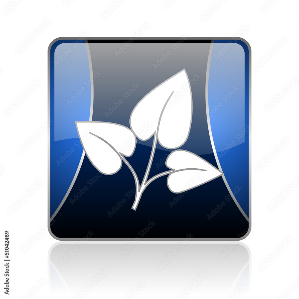 eco blue square web glossy icon