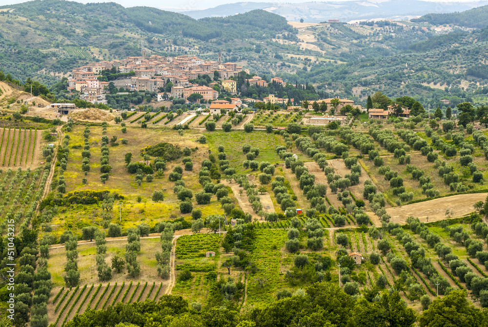 Panoramic view of Seggiano, in Tuscany